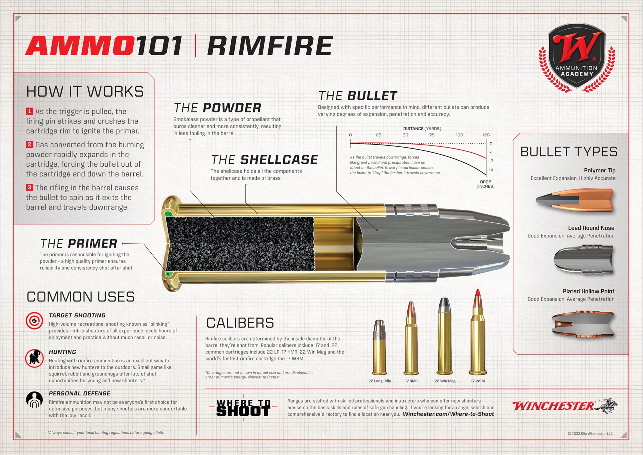 Image of the inner working of rimfire ammunition
